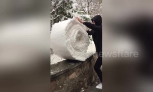 Man 'folds' snow on top of a wall into giant snowball
