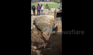 Baby elephant rescued from 30-feet deep well in eastern India after straying from herd