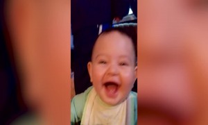 CUTE ALERT: This Baby Laughing is too Precious!