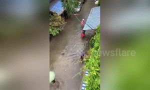 People go fishing in the streets after heavy rains cause flooding in Vietnam