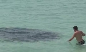 Would you be willing to walk right into that?