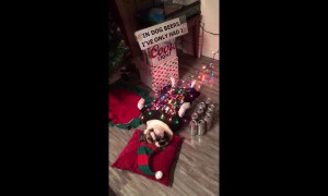 When you've had one too many holiday beers