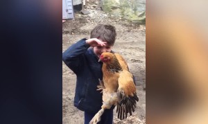 Hilariously Awkward Hugs