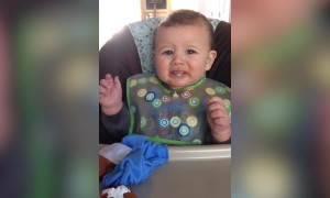 Babies VS Parents: Who will Win?