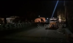 Panic, chaos among residents as herd of elephants stray into South Indian town overnight