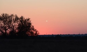 UFO Sighting at Sunset