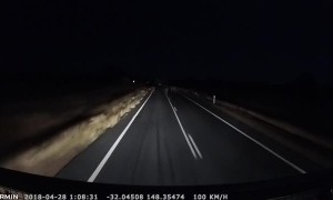 Driver Barely Makes it Through Herd of Cattle
