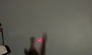 Cat Climbs Wall Hunting a Laser Pointer