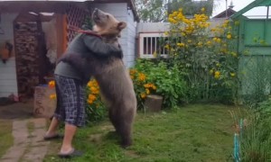 Светлана Пантелеенко on Instagram: “Растёт ???? актёрища красава,сила и  и мощь,репетиция-игра "борьба" Победила ДРУЖБА ???? .Вот оно понимани