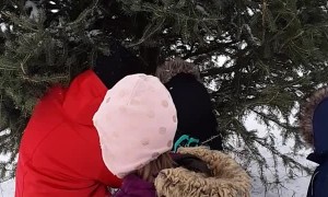 Christmas Tree Topples Onto Toddler