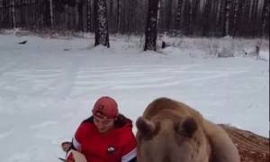 Bear Enjoys a Good Book