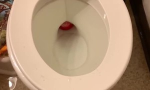 Christmas ornament toilet fail
