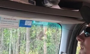 Water Bottle Work Prank