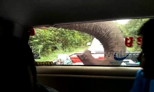 Terrified family watch as elephant raids the back of their car for food
