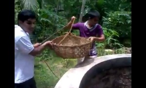 Cat runs up 35-feet well after rescuers struggle to pull her up