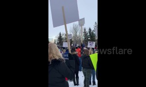 'Yellow vest' protests sweep Canadian cities following influence from French movement