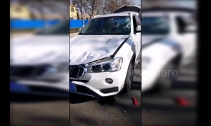 Runaway horse gallops head-on into a BMW