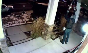 Ornament Thief Caught on Camera