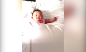 Babies who Love Pillows