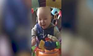 These Baby Giggles are just Too Cute