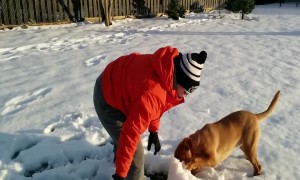 Dog Can't Get Enough of Playing in the Snow!
