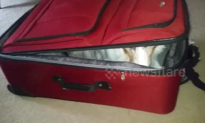 Packing the essentials for vacation