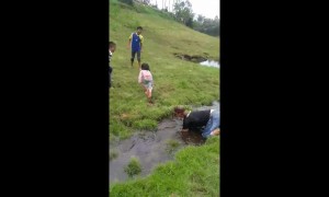 Hilarious scene as dad faceplants into a stream while throwing his children over