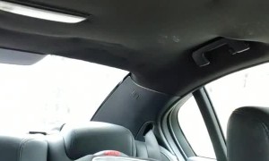 Ryder Goes for a Ride