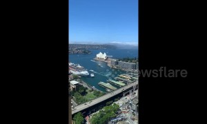 Fog engulfs Sydney Harbour in oddly soothing timelapse video