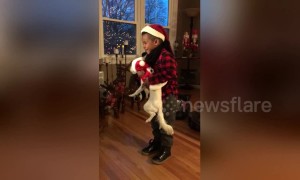 5-year-old Deryk gets puppy-shaped miracle after tough childhood