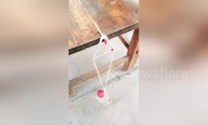 Man shows off elaborate matchstick balancing trick