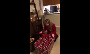 Wife's emotional reaction after getting surprise puppy for Christmas
