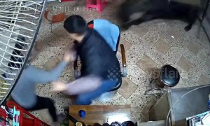 A family of four freaks out after renegade buffalo runs into their hair salon