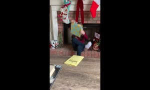 6-Year-Old Finds Out She Will Be a Big Sister