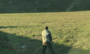 Emergency Cessna Landing on Busy Freeway