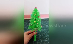 Chinese woman creates DIY Christmas tree from straws