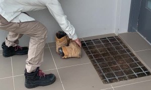 Work Boots Make a Nice Bed for a Snake