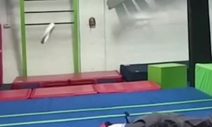 Epic Ninja Training Fall