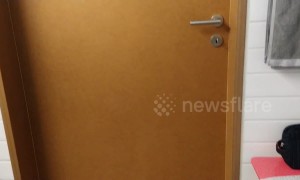 Video of never-ending bathroom door stuns the internet
