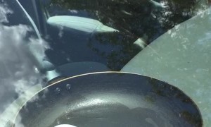 It's Hot Enough in Australia to Fry an Egg in Your Car