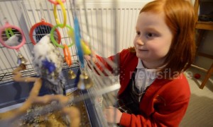 A real-life Dr Doolittle family who keep 46 pets