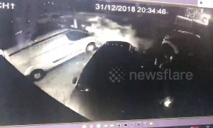 Dog walkers attacked with fireworks on residential street