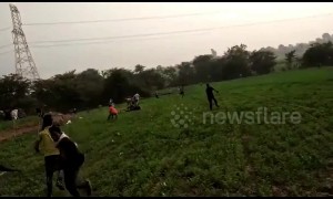 Cornered leopard goes on rampage, attacking 3 villagers in India