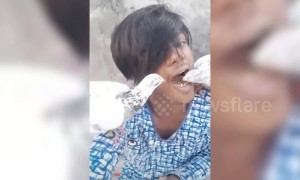 Bizarre moment man feeds his pet pigeons from his mouth in India