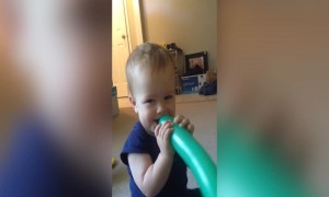 Baby Can't Stop Laughing at Balloon