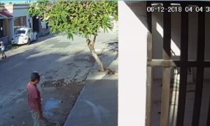 Boy Slips and Ruins Wet Concrete