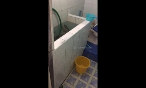 Thai man goes into bathroom to find giant monitor lizard chilling in the water tank