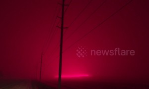 Light pollution from greenhouses turn Ontario skies a fiery red