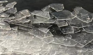 Ice Shards on the Shore