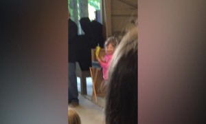 Kids Say the Darnedest Things!